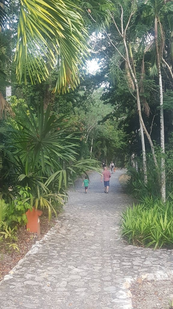 Cobblestone Path to Tikal