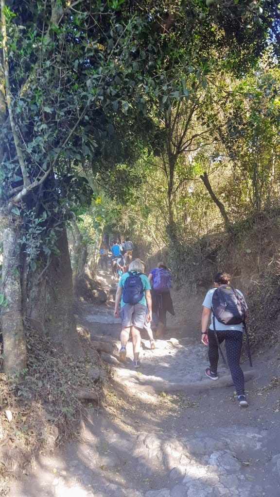 Pacaya Volcano Hike - the beginning of the trail