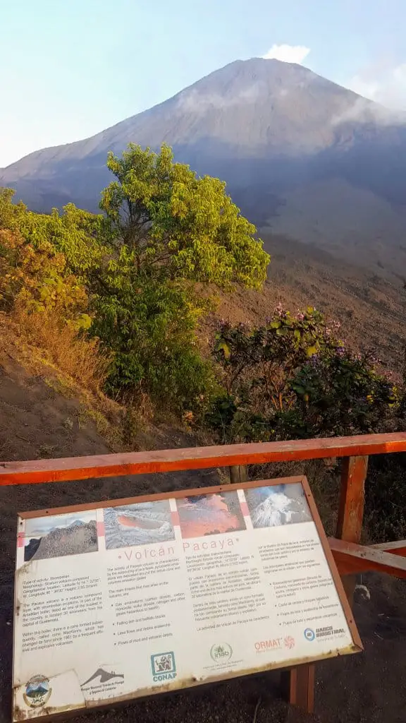 Pacaya Volcano Hike - one last look before heading down