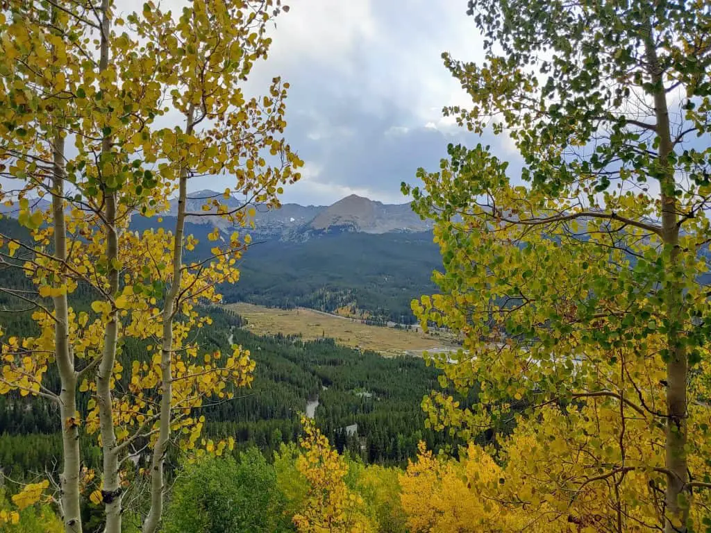 View from Boreas Pass Road looking over Blue River