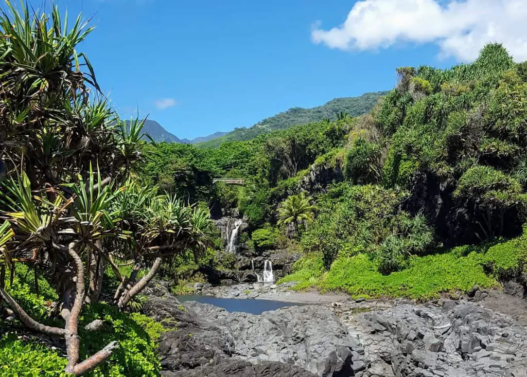 Seven sacred pools in the Kipahulu district of Haleakala National Park