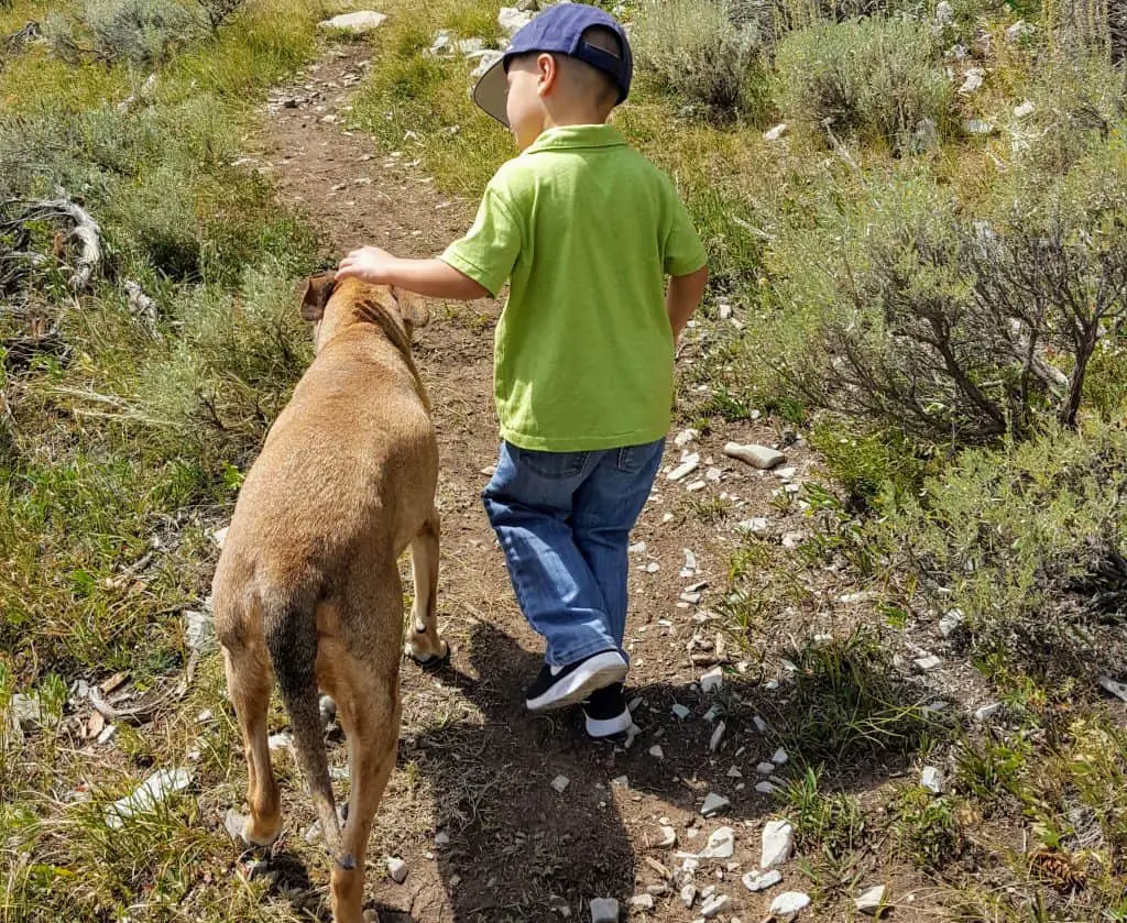 boy on a trail in the mountains petting a dog