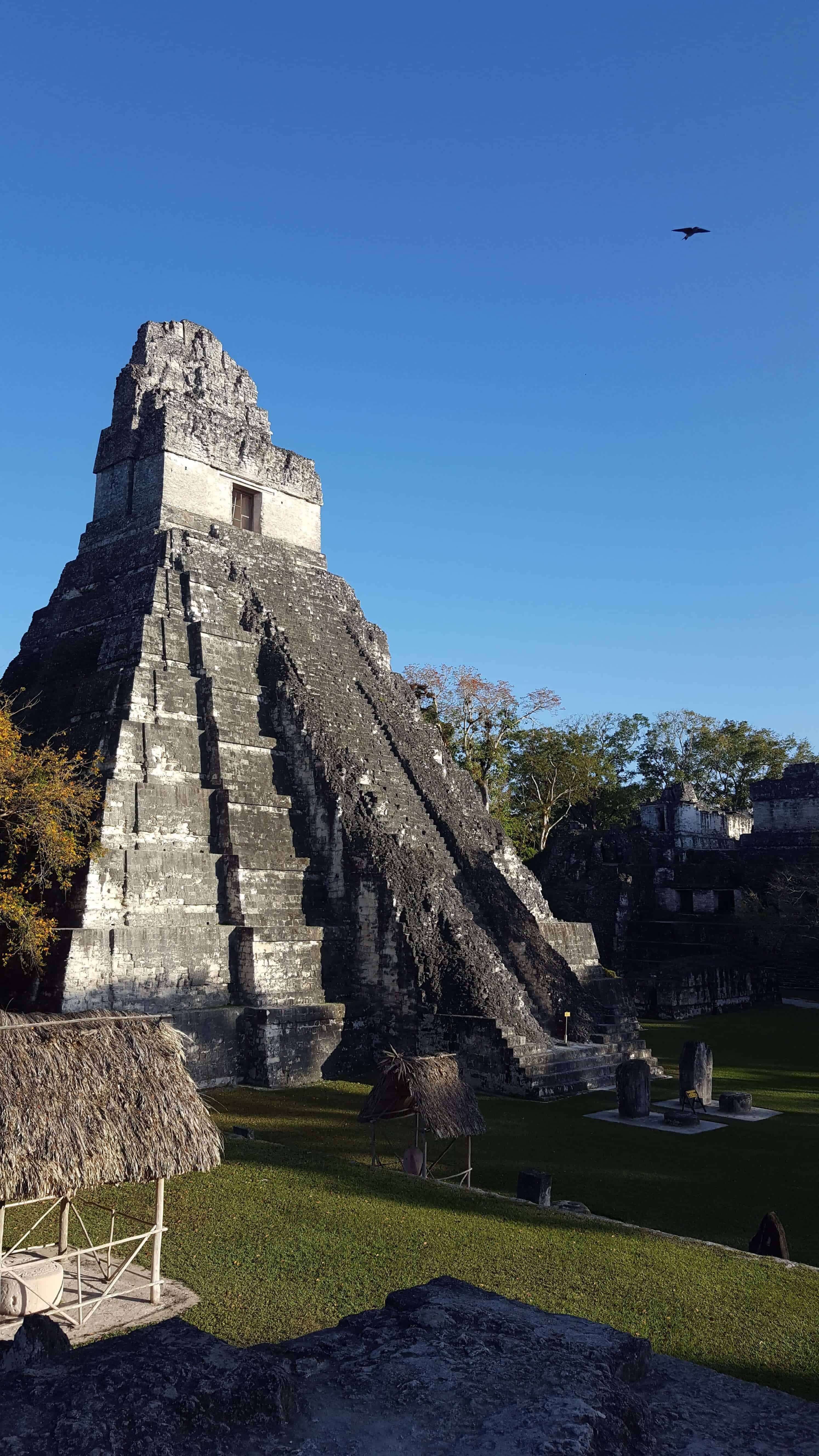 Tikal National Park in the Evening
