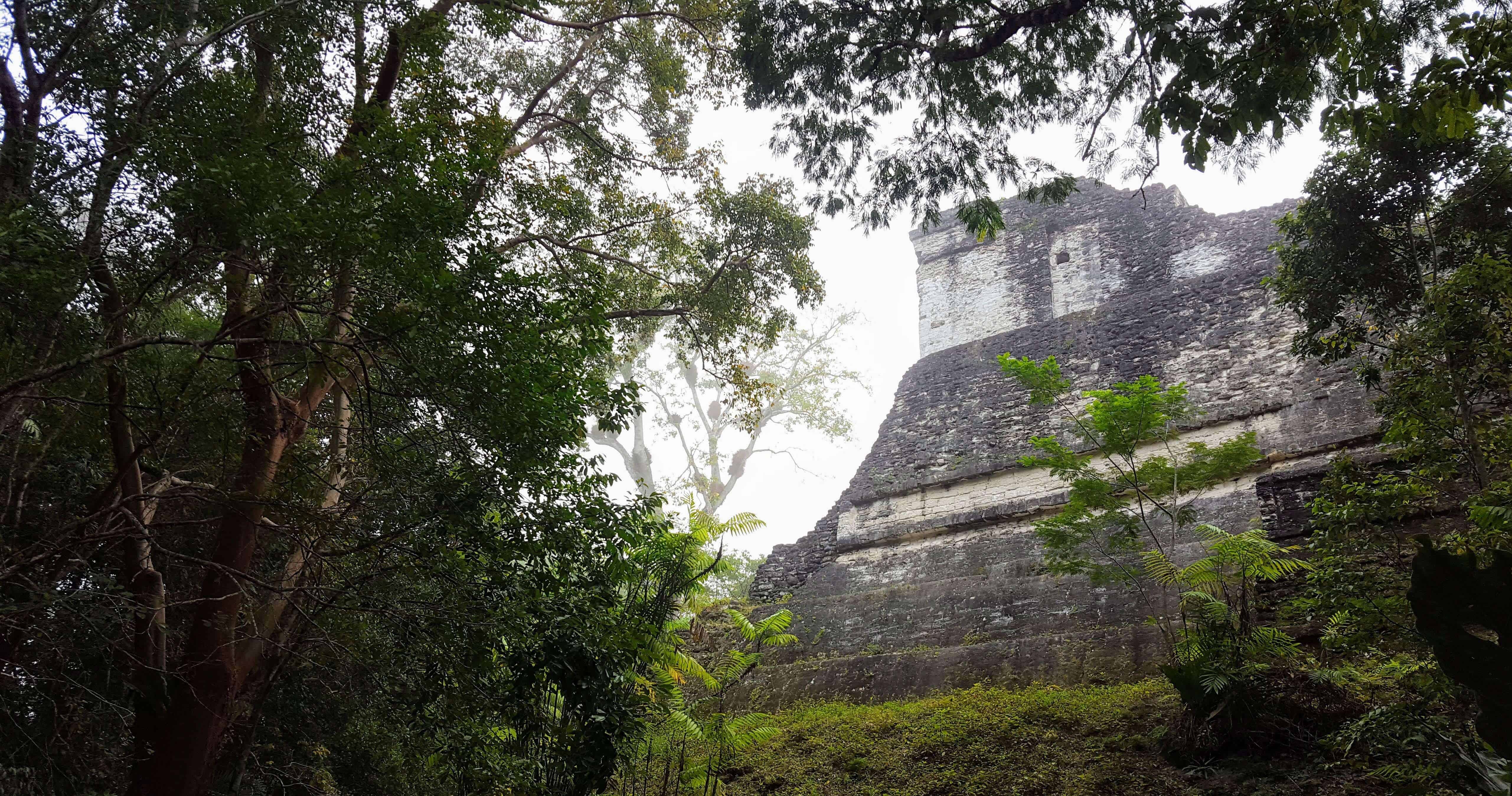 Tikal Temple in the fog