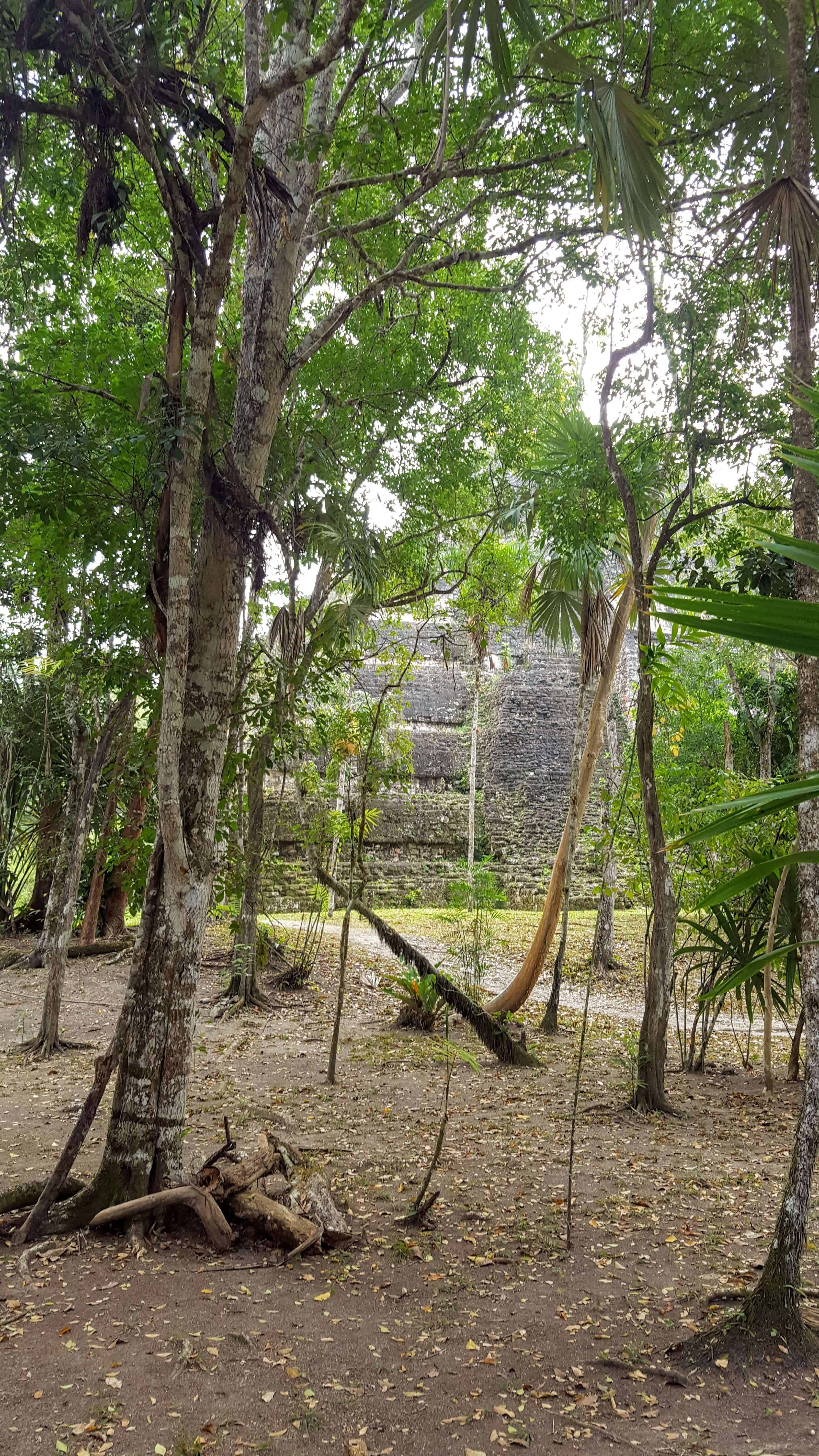 Temple in Tikal