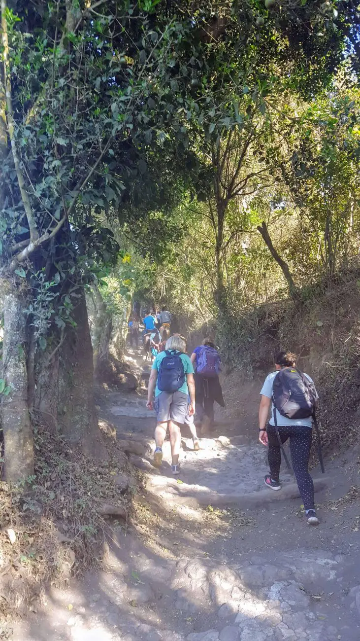 Pacaya Volcano Hike - the beginning of the trail