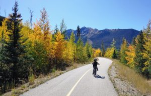 Boy on the bike path in Frisco, Colorado in the fall