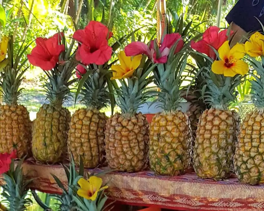 pineapples lined up at a fruit stand in Hawaii
