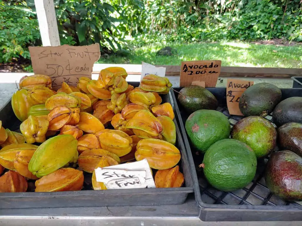 10-varieties-of-fruit-in-hawaii-you-simply-must-try-travels-with-eli