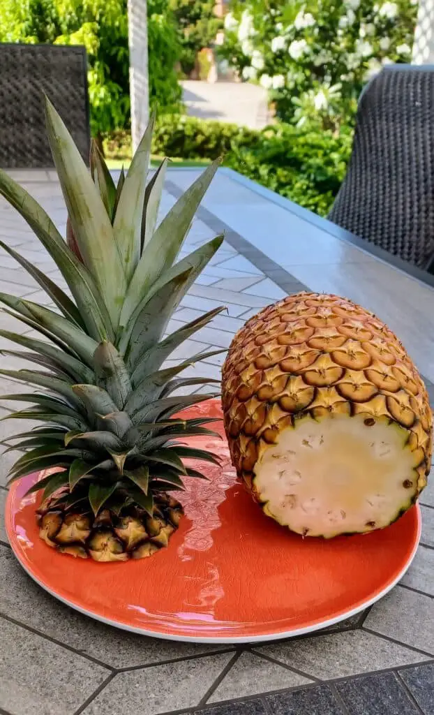 cut up pineapple on a plate