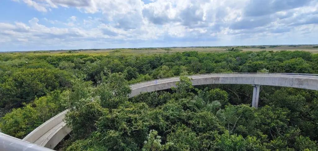 veiw from the Shark Valley observation tower in Everglades National Park