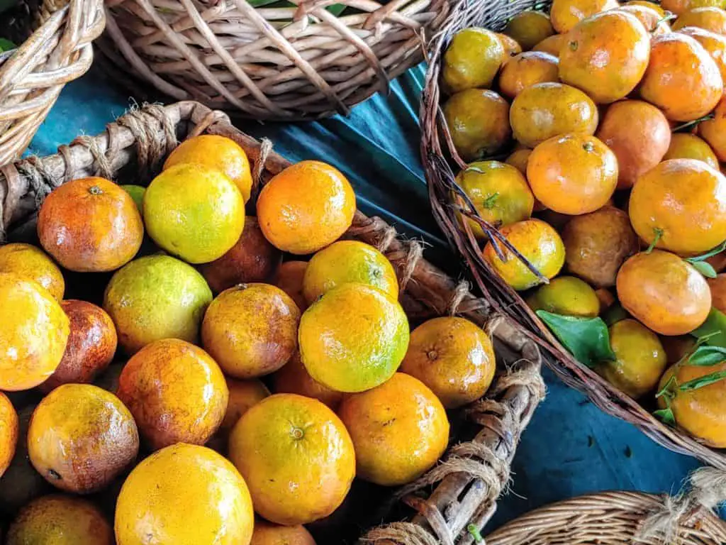 citrus fruit in Hawaii