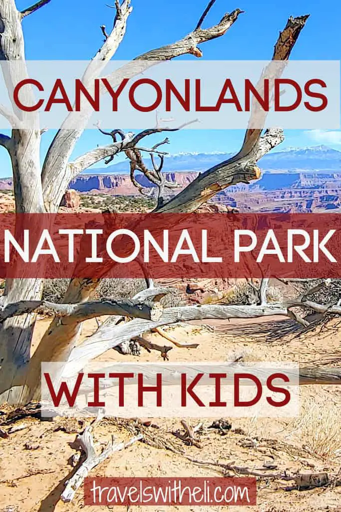 canyonlands national park with kids