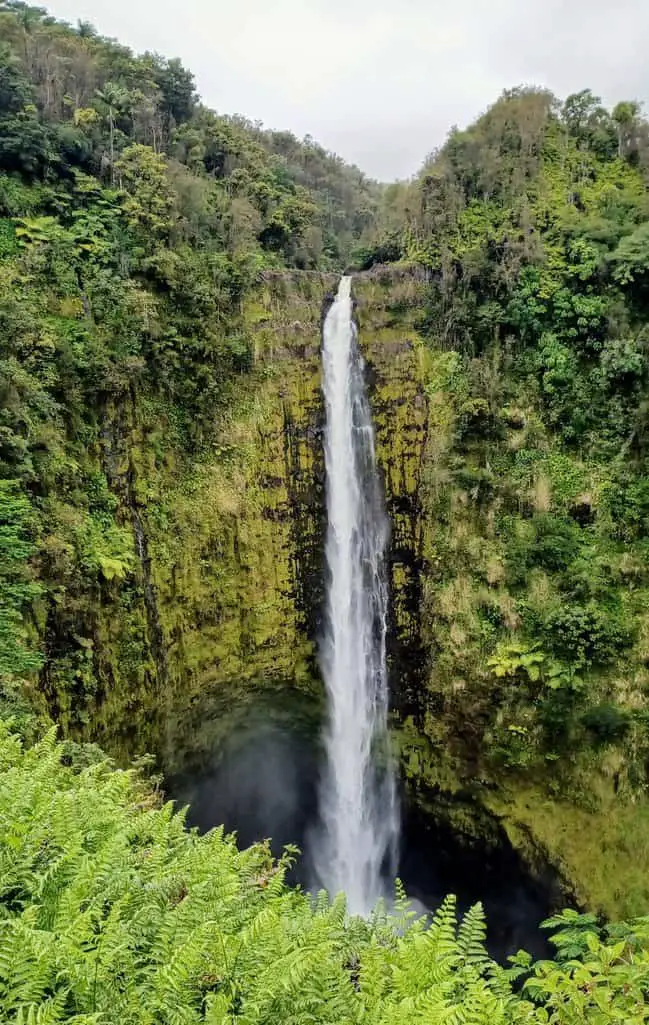 10 Best Easy Hikes on the Big Island of Hawaii - Travels With Eli