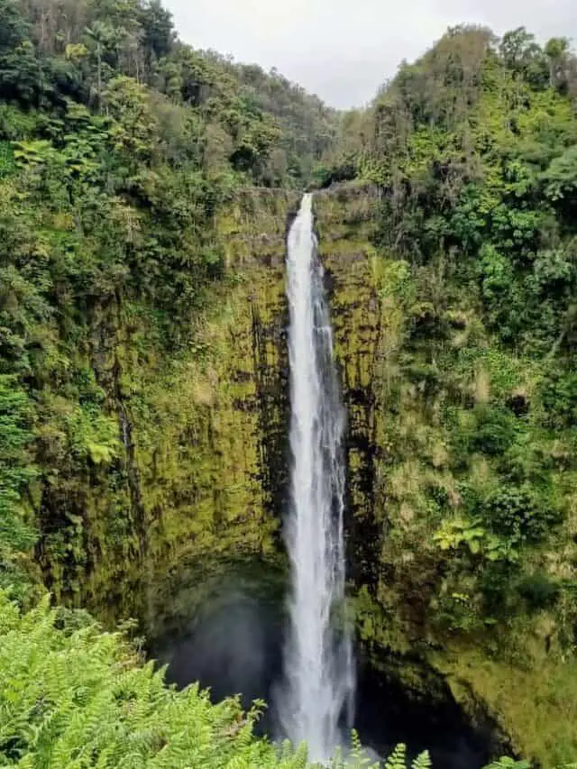 10 Incredible Hikes on the Big Island of Hawaii