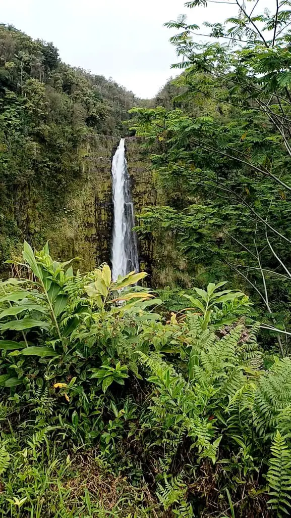 Akaka Water fall on the Big Island of Hawaii