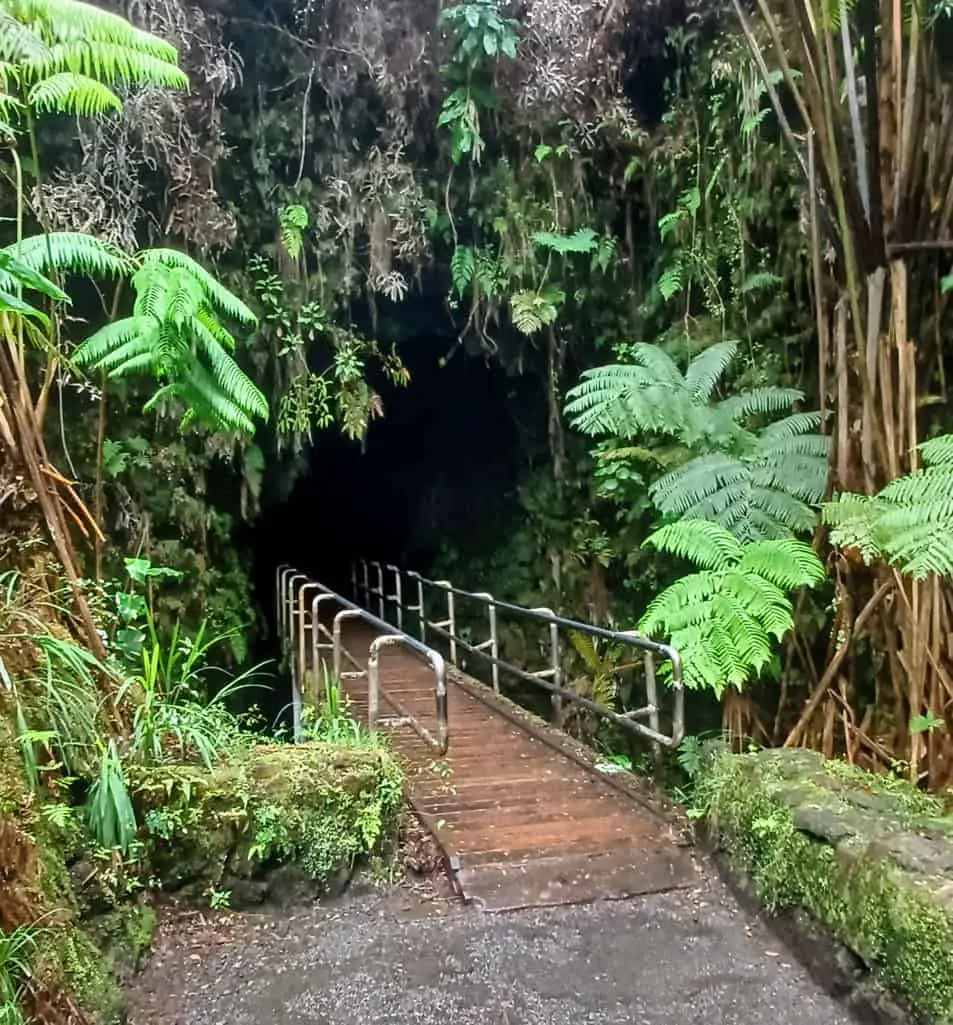 The enterance to Thurston Lava Tubein Volcanos National Park