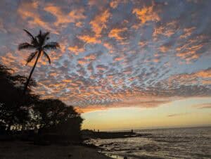 Palm tree and the sunset over the ocean at Waikoloa Hawaii