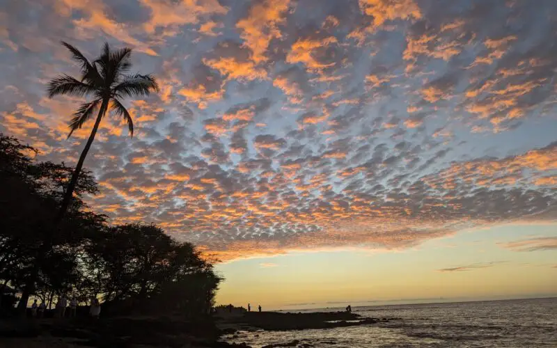 Palm tree and the sunset over the ocean at Waikoloa Hawaii