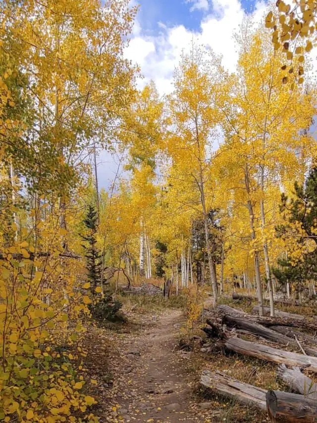 Incredible Fall Color Viewing in Breckenridge, CO Story