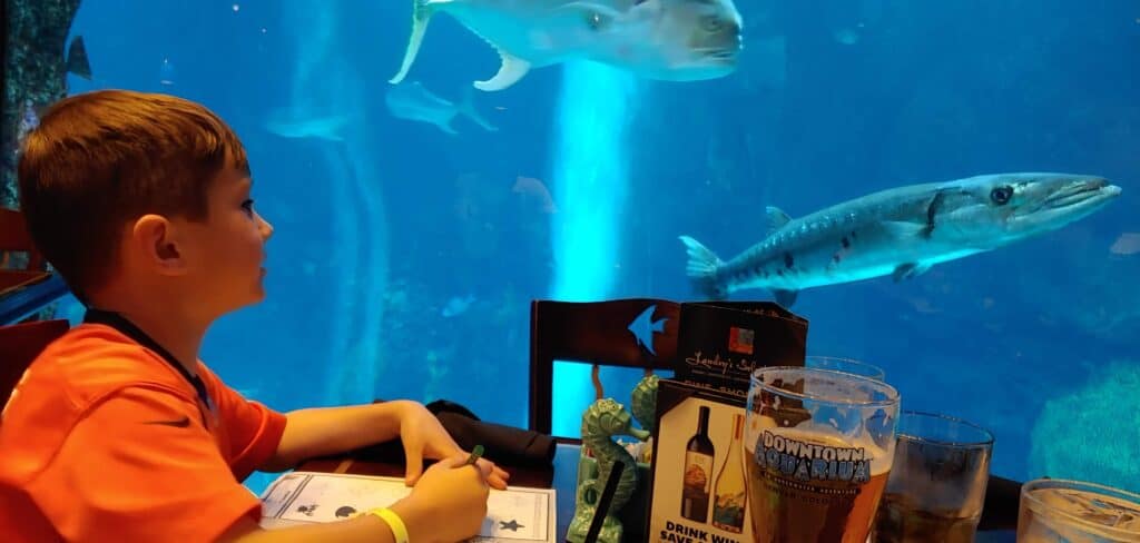 boy eating dinner at the Downtown Denver Aquarium with fish swimming by