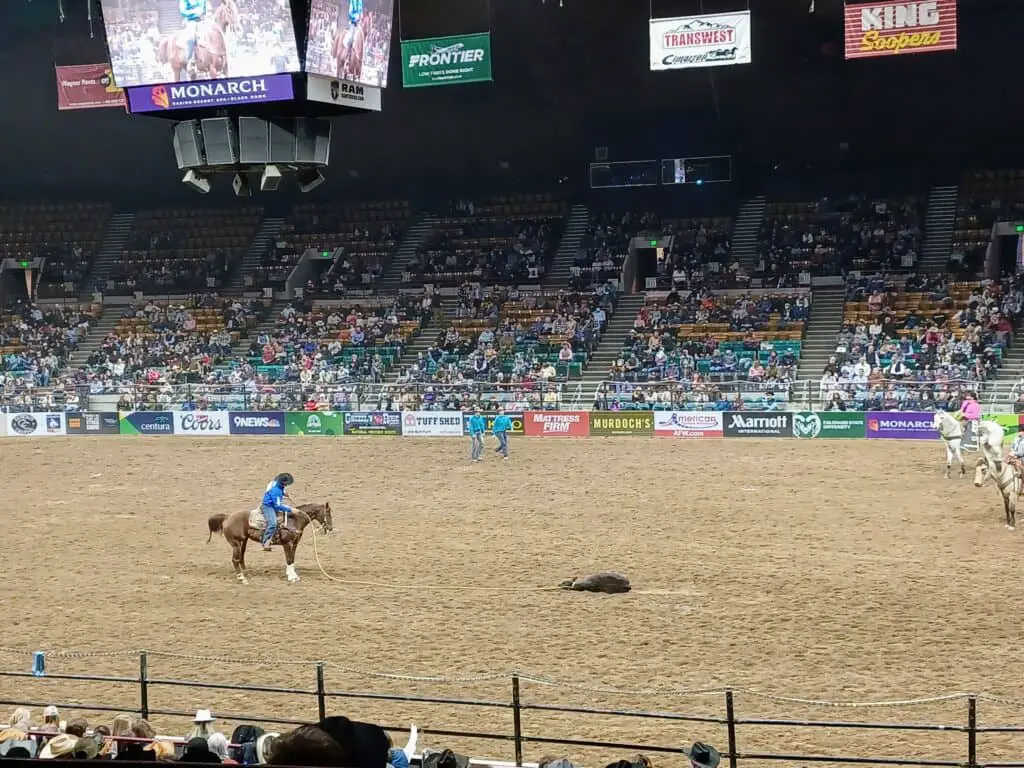 cowboy on a horse at the rodeo at the National Western Stock Show in Denver, Colorado