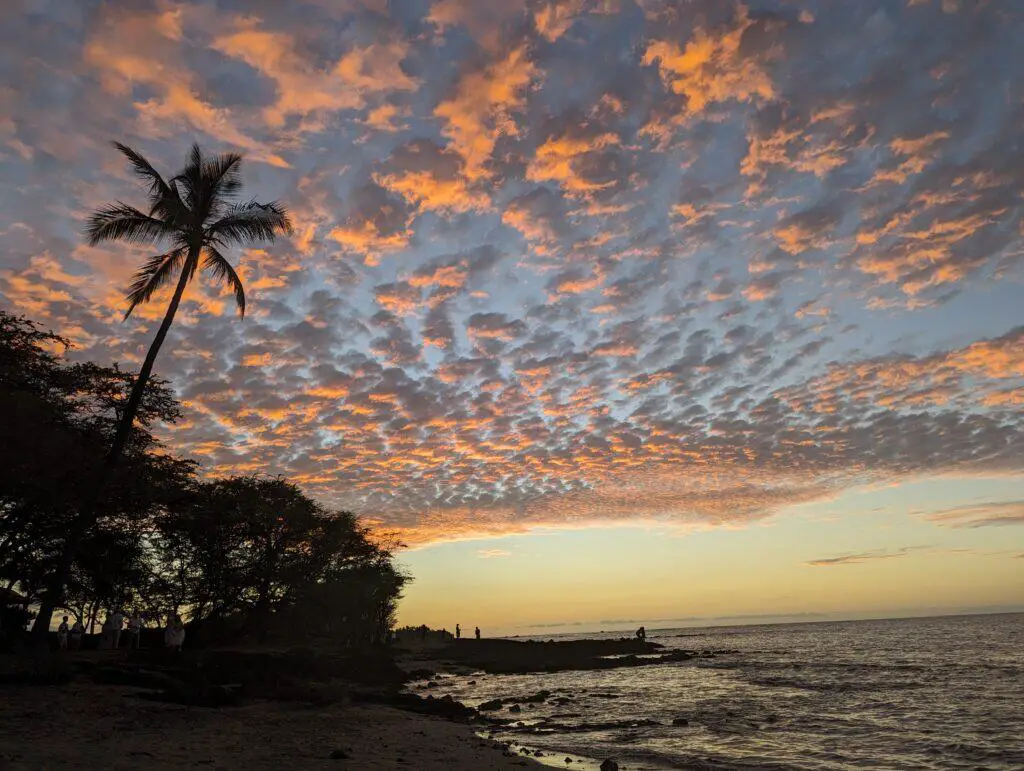 Sunset with a palm tree on the beach in Hawaii