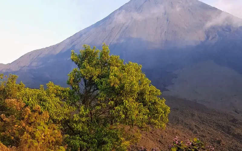 Pakaya Volcano in Guatemala with smoke coming out of the top