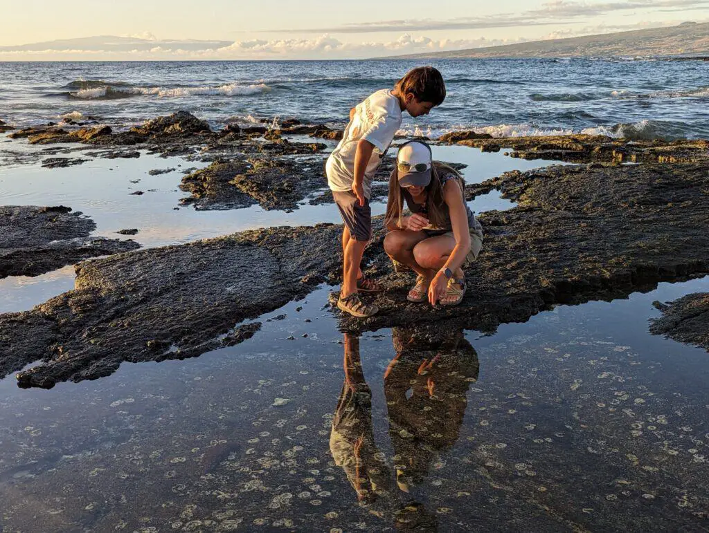 mother and son looking into a tide pool in Waikoloa Hawaii